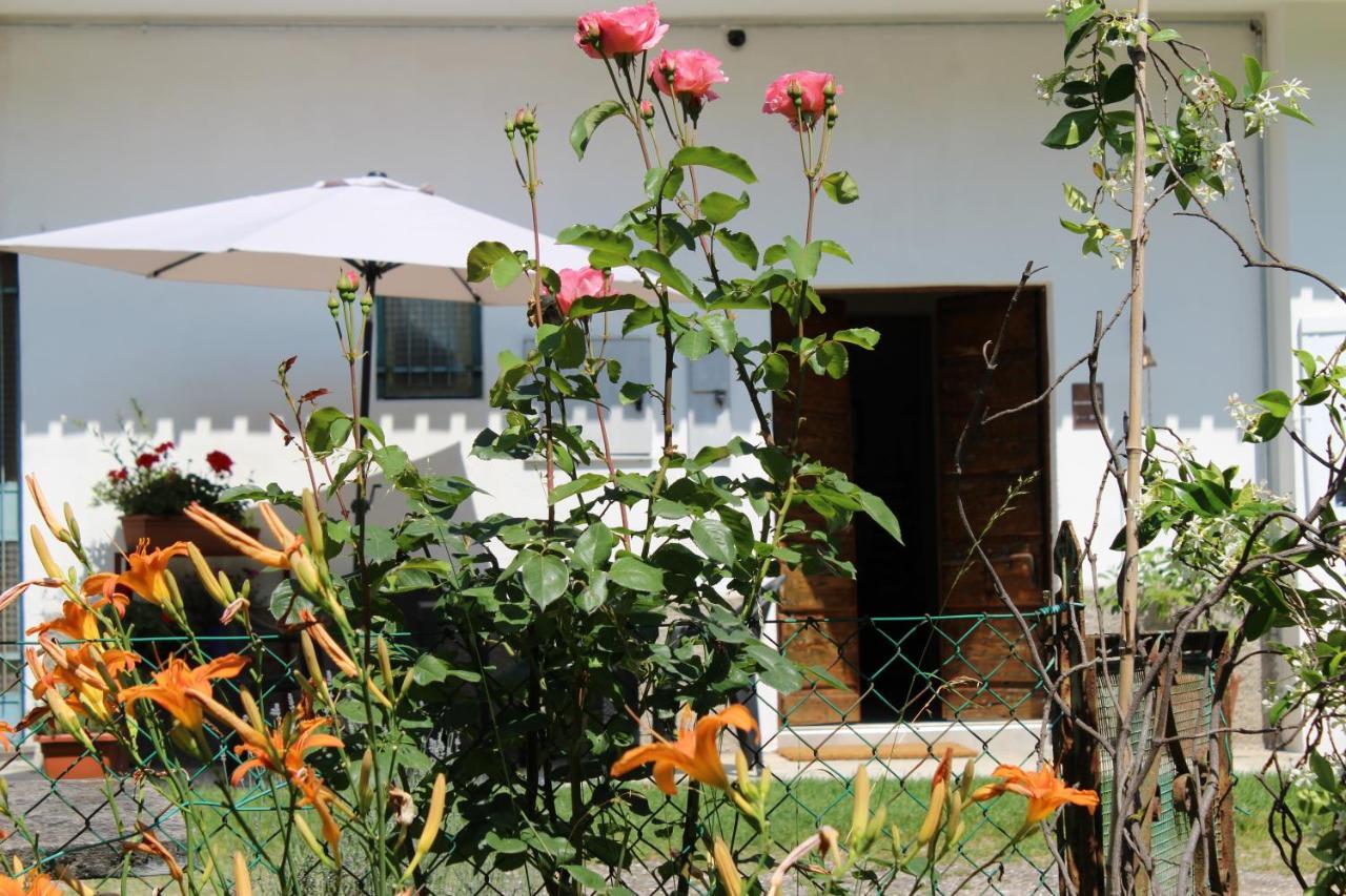 Il Casolare Del Medio Olona Bed & Breakfast Fagnano Olona Exterior photo