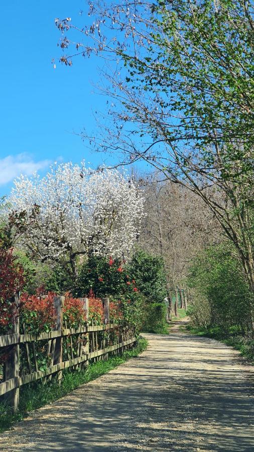 Il Casolare Del Medio Olona Bed & Breakfast Fagnano Olona Exterior photo